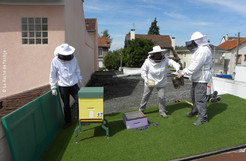 Installer des ruches