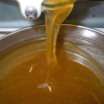 Extraction du miel